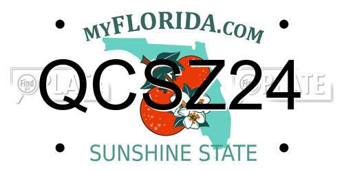 QCSZ24 Florida License Plate