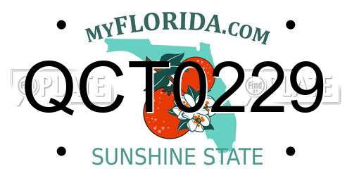 QCT0229 Florida License Plate