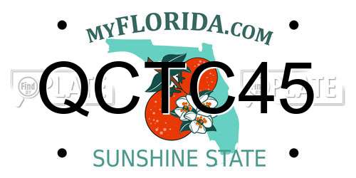 QCTC45 Florida License Plate