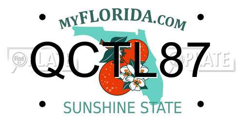 QCTL87 Florida License Plate