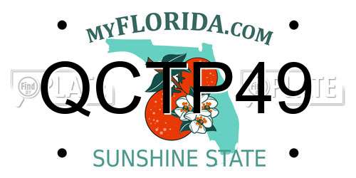 QCTP49 Florida License Plate