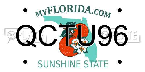 QCTU96 Florida License Plate