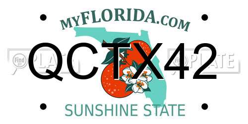 QCTX42 Florida License Plate