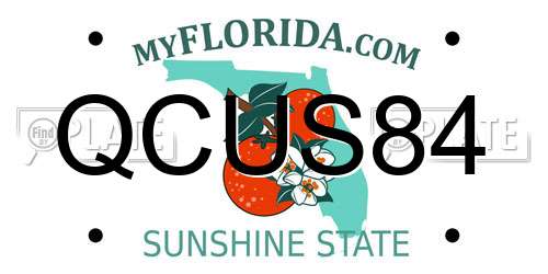 QCUS84 Florida License Plate
