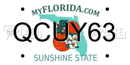 QCUY63 Florida License Plate