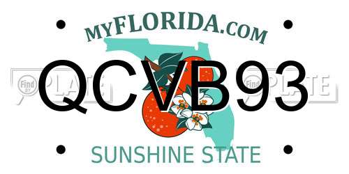 QCVB93 Florida License Plate