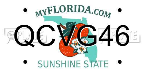 QCVG46 Florida License Plate