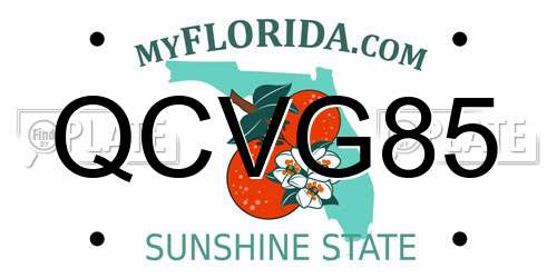 QCVG85 Florida License Plate