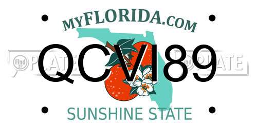 QCVI89 Florida License Plate