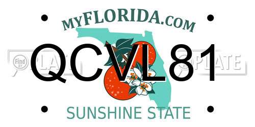 QCVL81 Florida License Plate