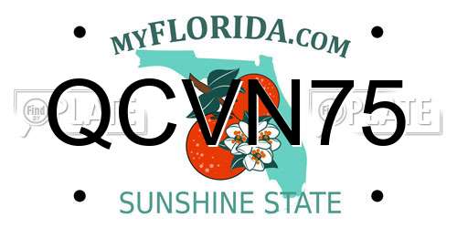QCVN75 Florida License Plate