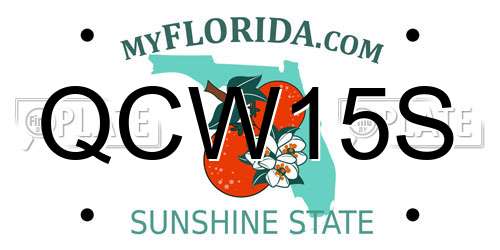QCW15S Florida License Plate