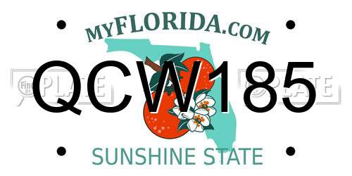 QCW185 Florida License Plate