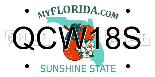 QCW18S Florida License Plate