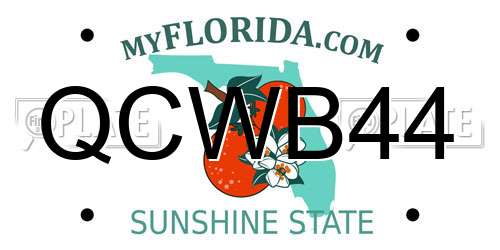 QCWB44 Florida License Plate