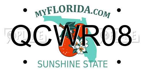 QCWR08 Florida License Plate
