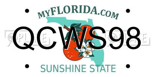 QCWS98 Florida License Plate