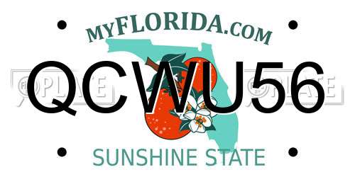 QCWU56 Florida License Plate