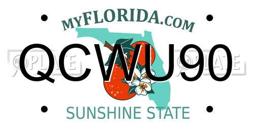 QCWU90 Florida License Plate