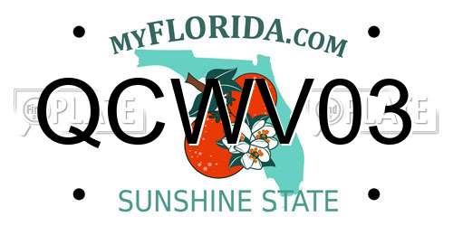 QCWV03 Florida License Plate