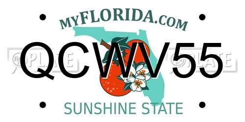 QCWV55 Florida License Plate