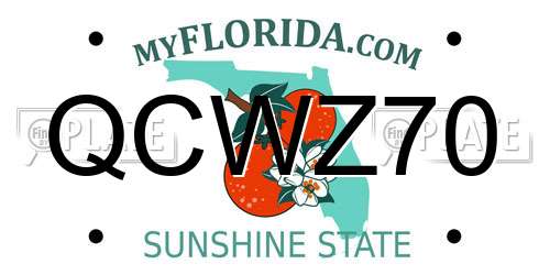 QCWZ70 Florida License Plate