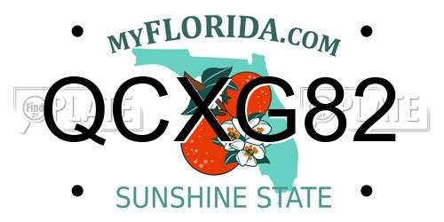 QCXG82 Florida License Plate