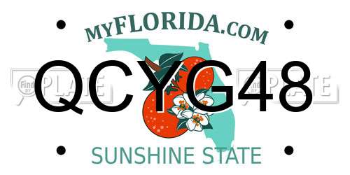 QCYG48 Florida License Plate