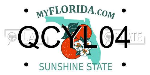 QCYL04 Florida License Plate