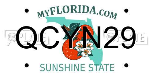 QCYN29 Florida License Plate