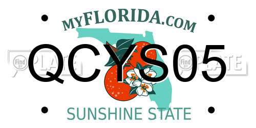 QCYS05 Florida License Plate