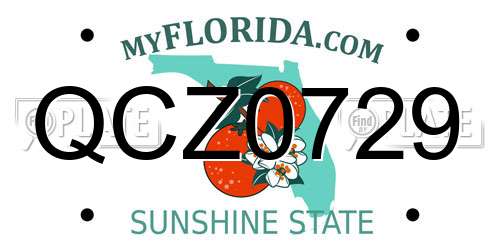 QCZ0729 Florida License Plate