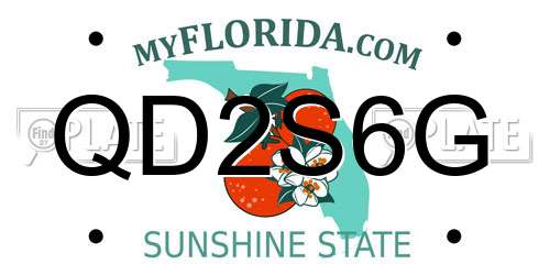 QD2S6G Florida License Plate