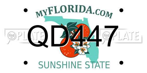 QD447 Florida License Plate