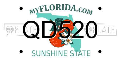 QD520 Florida License Plate