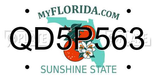 QD5P563 Florida License Plate