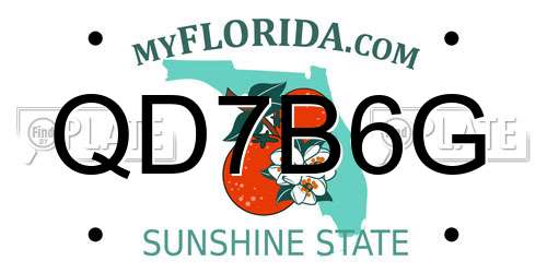 QD7B6G Florida License Plate