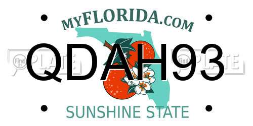 QDAH93 Florida License Plate
