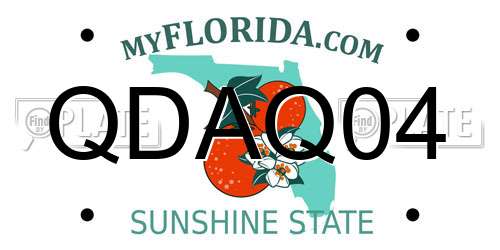 QDAQ04 Florida License Plate