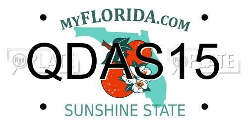 QDAS15 Florida License Plate