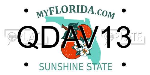 QDAV13 Florida License Plate