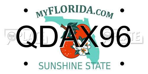 QDAX96 Florida License Plate
