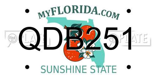 QDB251 Florida License Plate