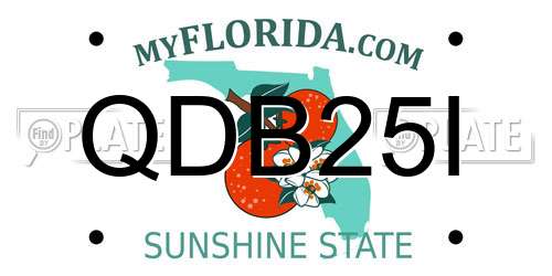 QDB25I Florida License Plate