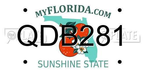 QDB281 Florida License Plate
