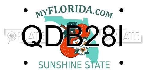 QDB28I Florida License Plate