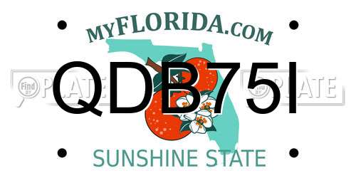 QDB75I Florida License Plate