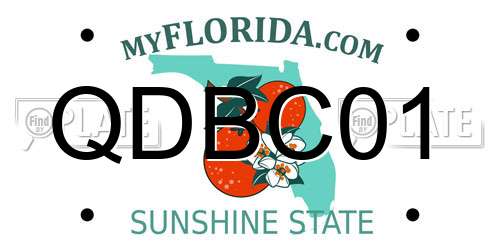 QDBC01 Florida License Plate