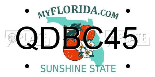 QDBC45 Florida License Plate