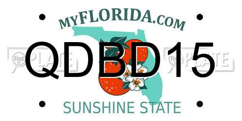 QDBD15 Florida License Plate